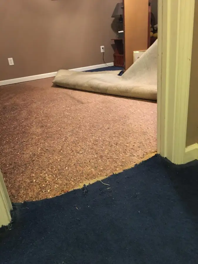 Carpet pad removal revealing water damage during Drying & Dehumidification in Pembroke Pines
